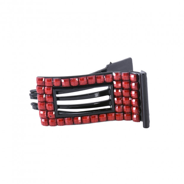 Clip hajcsipesz