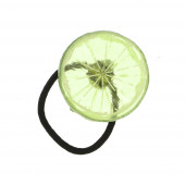 Citrus hajgumi