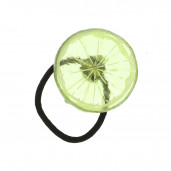 Citrus hajgumi